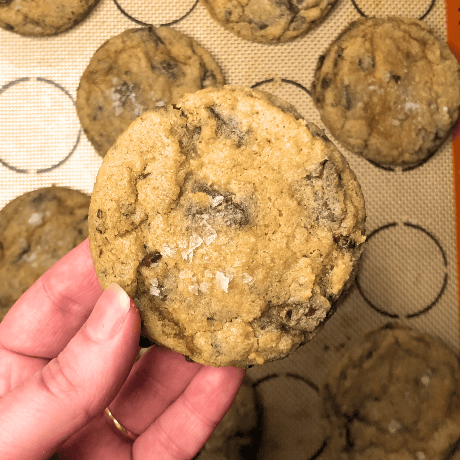 a hand holding a chocolate chip cookie with more cookies in the background.
