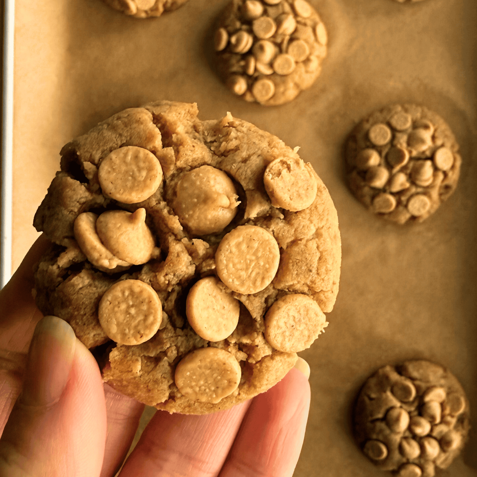 Brown Butter Peanut Butter Cookies