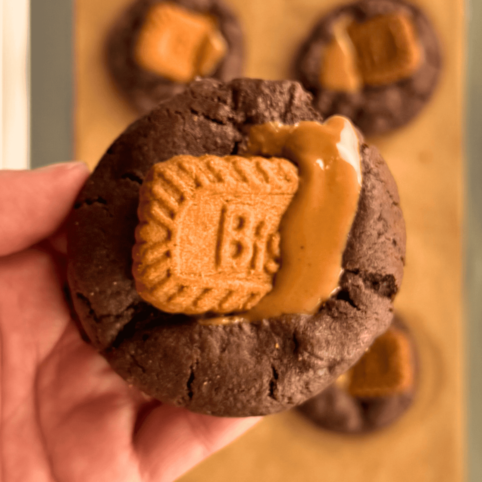 Biscoff Double Chocolate Chip Cookies