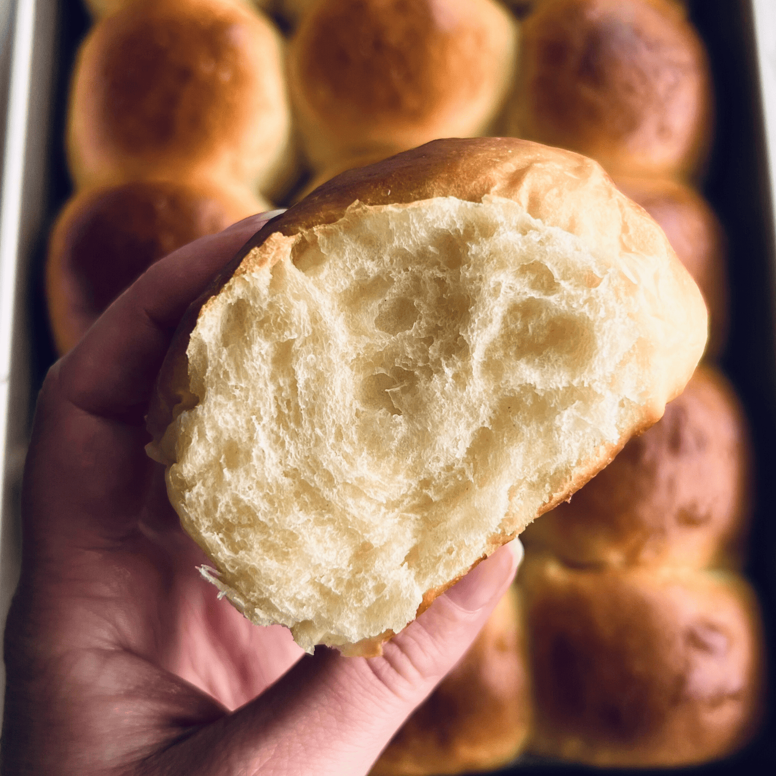 Homemade Hawaiian Rolls