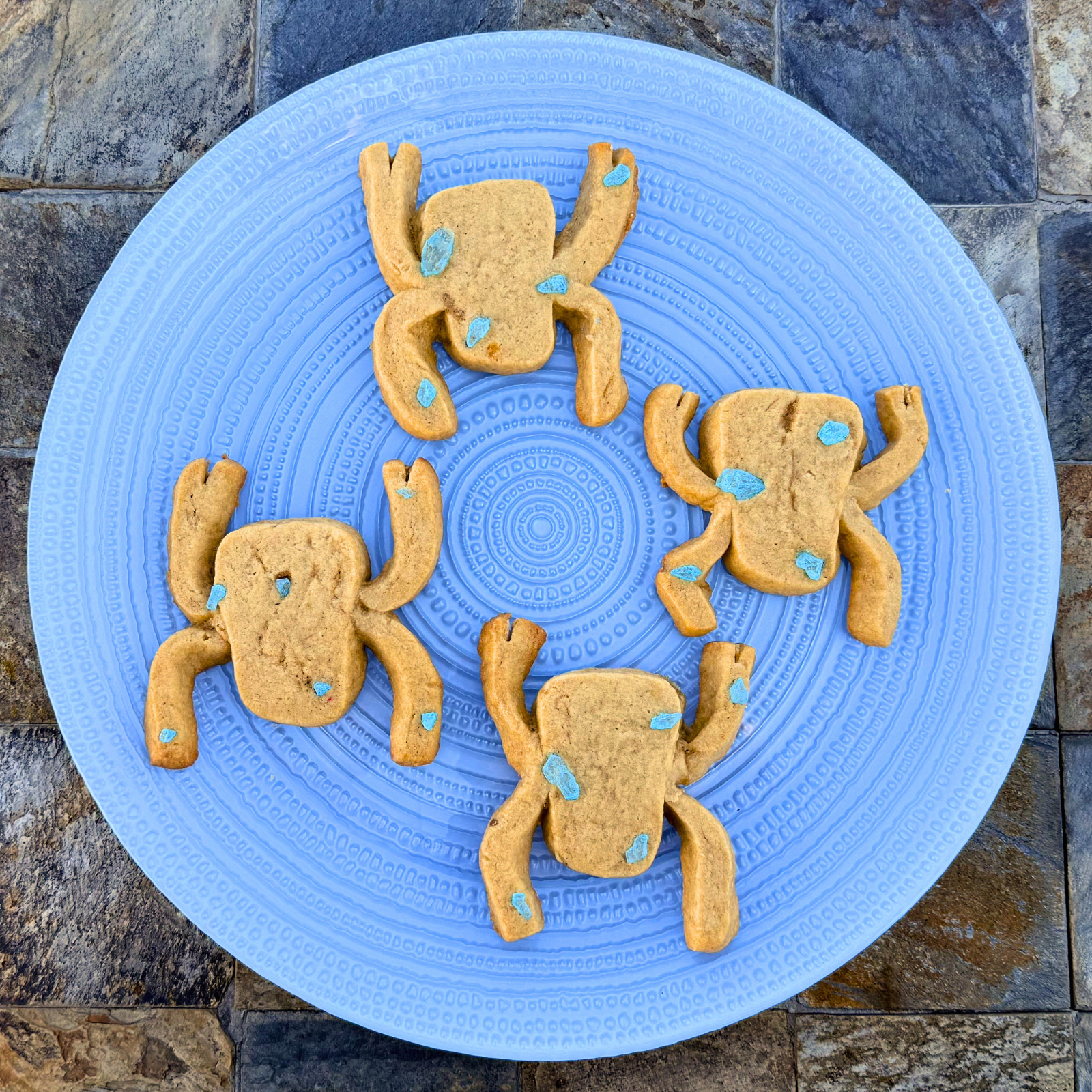 Rocky Cookies – Inspired by Project Hail Mary